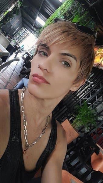 brandymodel